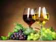 wine-and-food