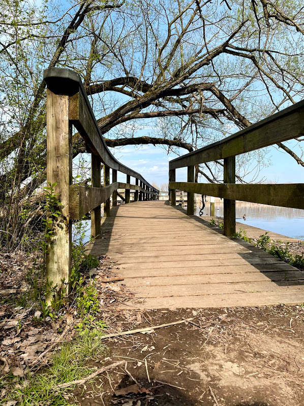 accessible boardwalk along tifft lake