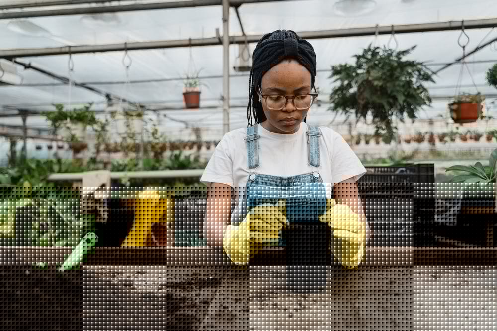 A woman gardening potted plants