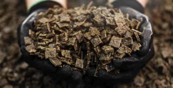 air-dried raw dog food