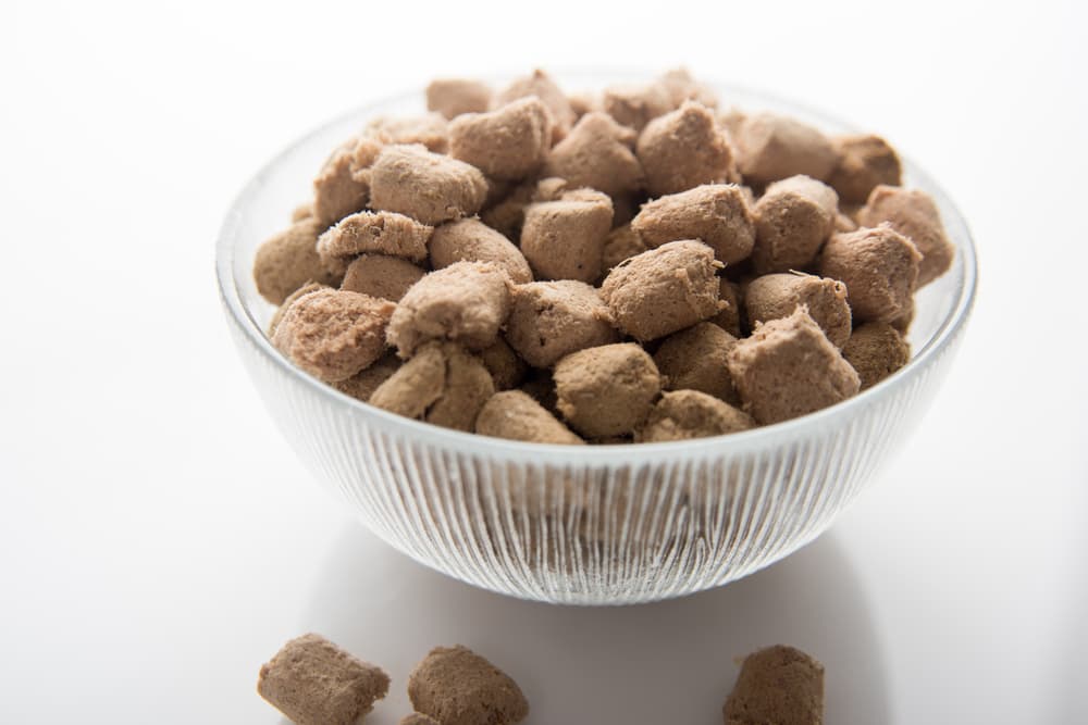freeze-dried raw dog food