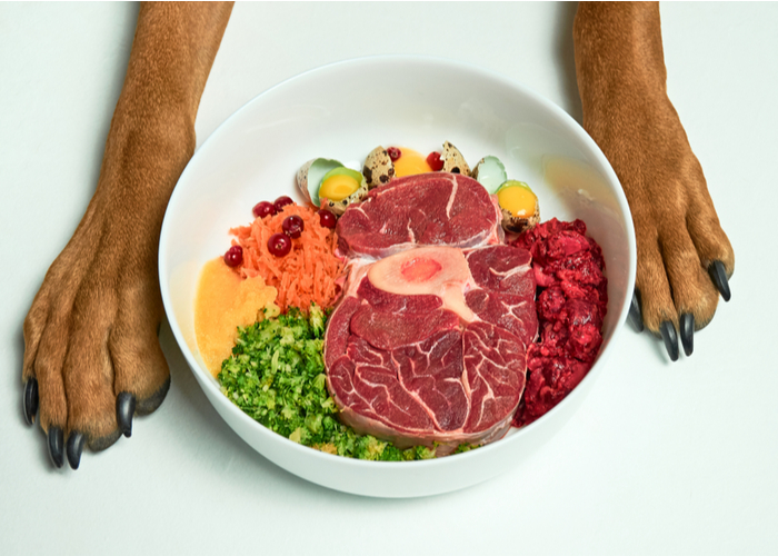 fresh raw dog food in a bowl