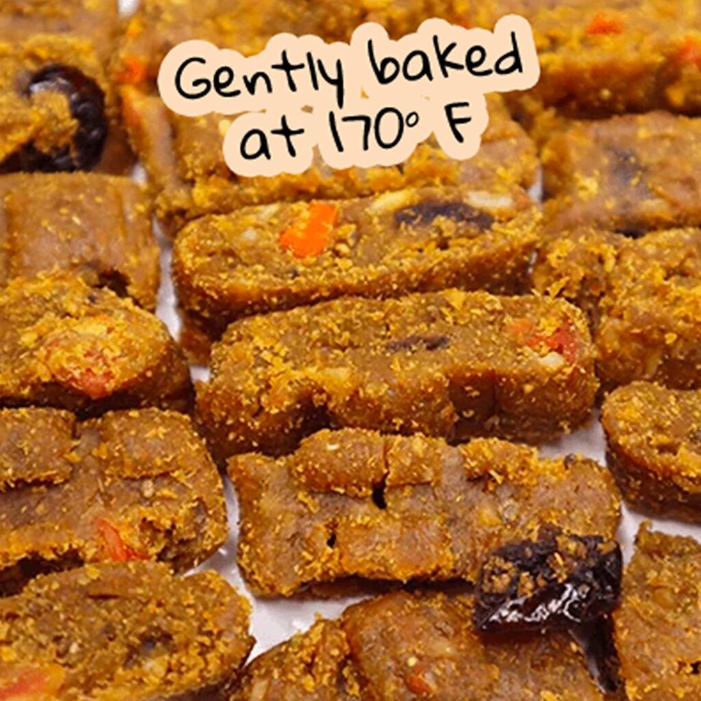 gently baked holistic kibble
