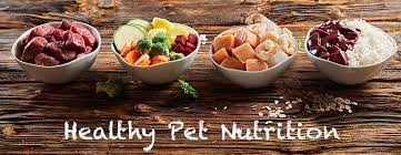 a picture showing 4 different dishes of a raw dog food diet
