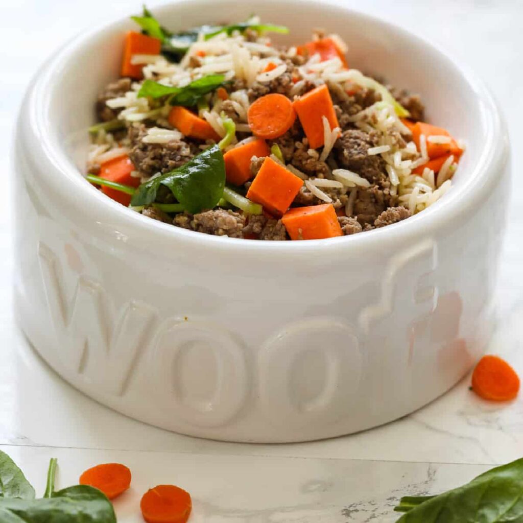 homemade dog food