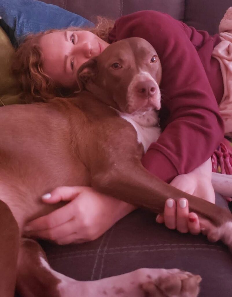 facts- affection between girl and pit bull