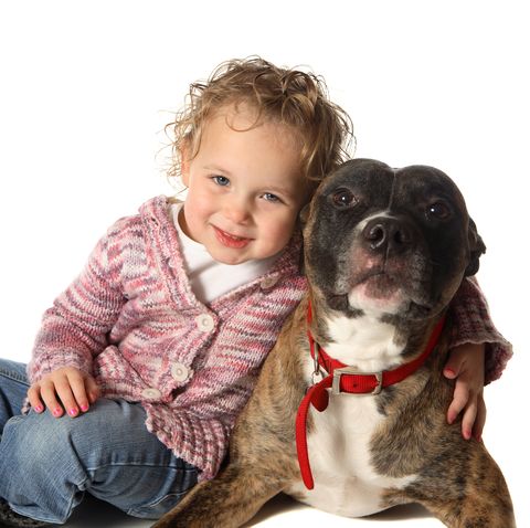 Pit bulls facts- a little girl and her pit bull