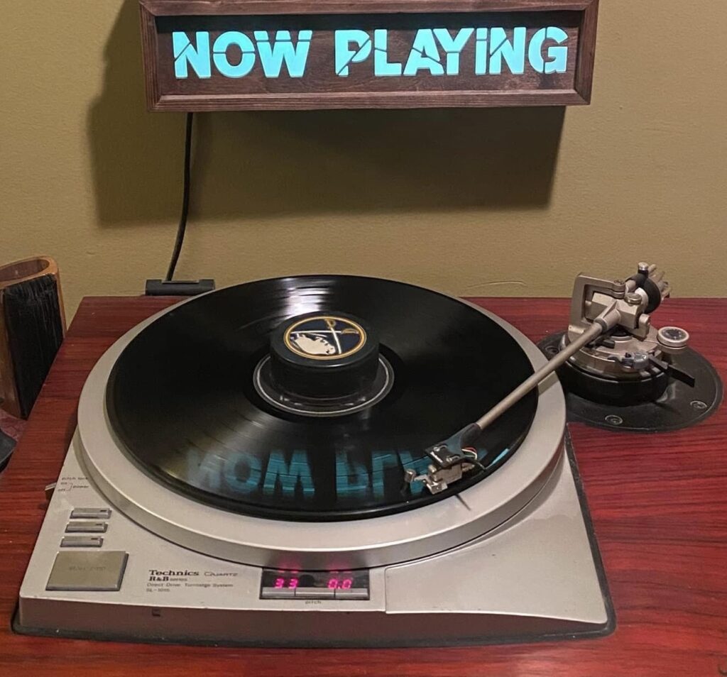 Vinyl Record Weight