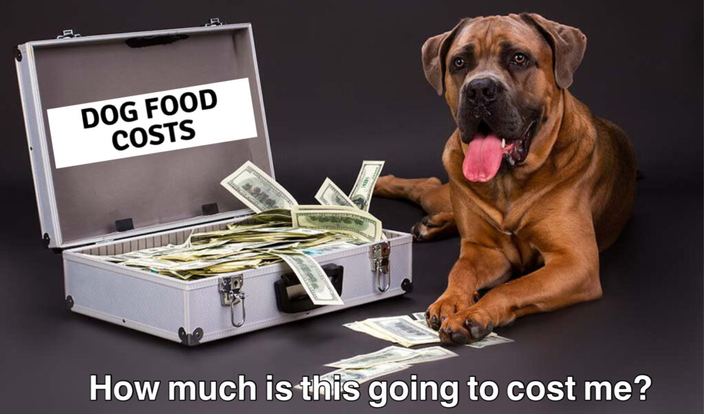 image showing a big breed dog laying down next to a suitcase full of money of a message saying 'how much is this going to cost me?' "dog food costs'