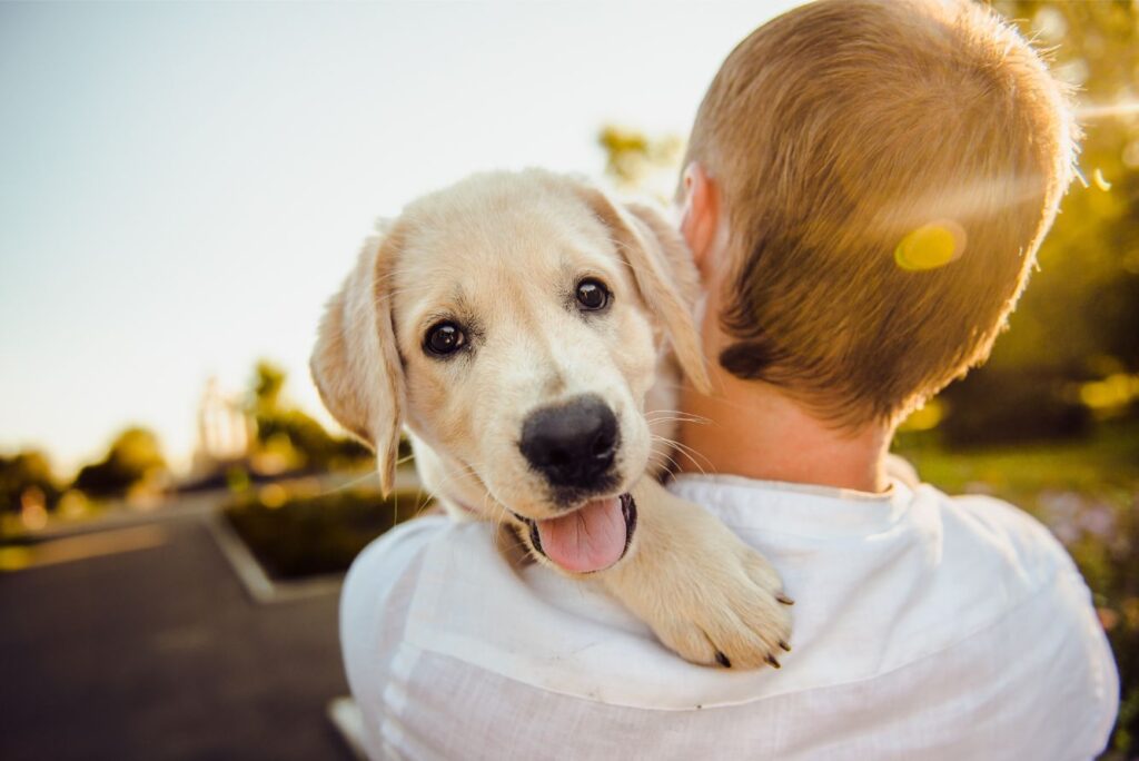 Puppy going to a new home