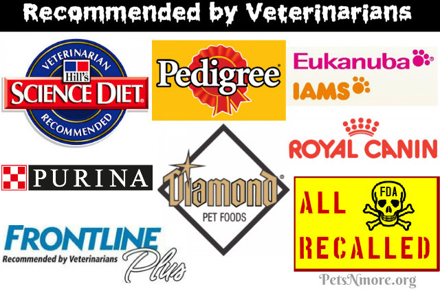 recalled dog food brand image
