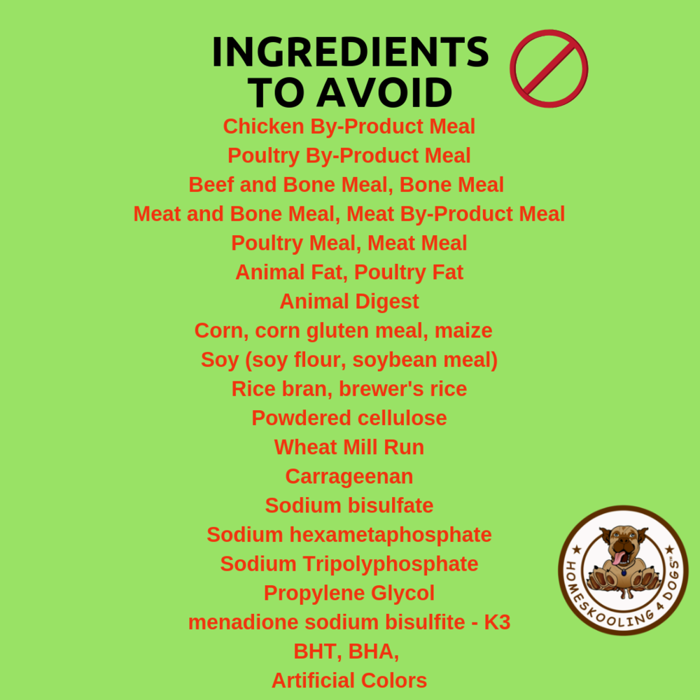 bad dog food ingredients