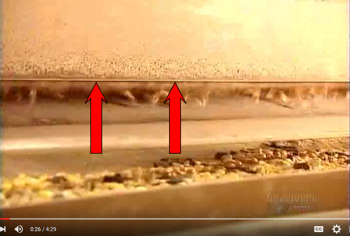 extrusion image showing mold on the extruder while extruding pet food