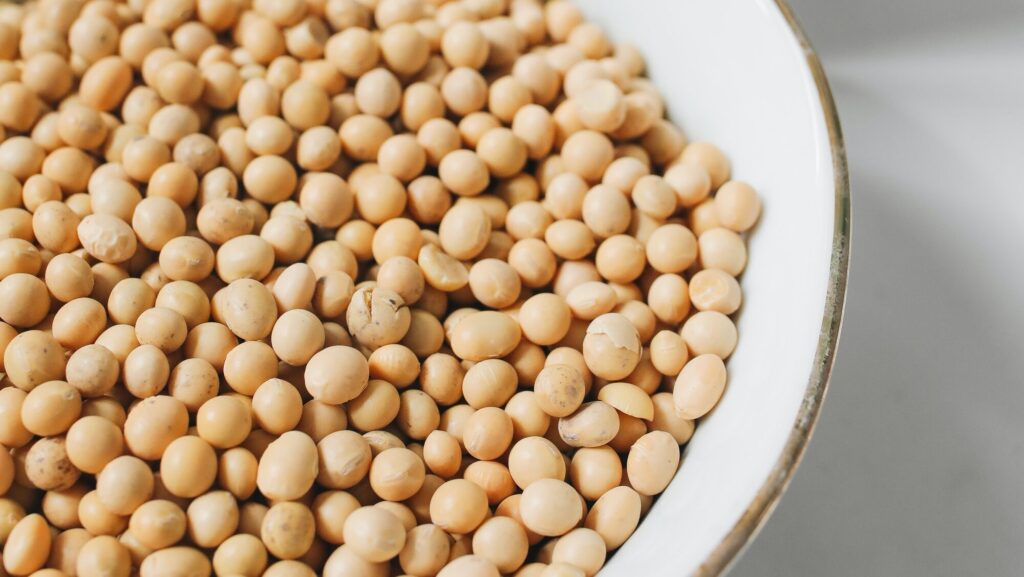 soybean in ceramic bowl representing sustainable ink in packaging