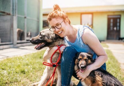 ways-to-help-animal-shelters-2