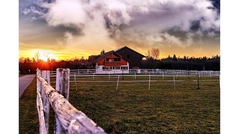 local farm