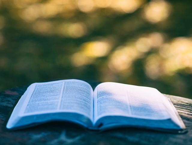 open book with blurry background