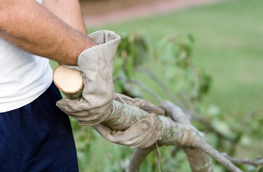 person doing yard work 
