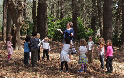 A typical Waldorf class spending outside in the woods