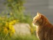 canva-MAEFzoyN8Nw