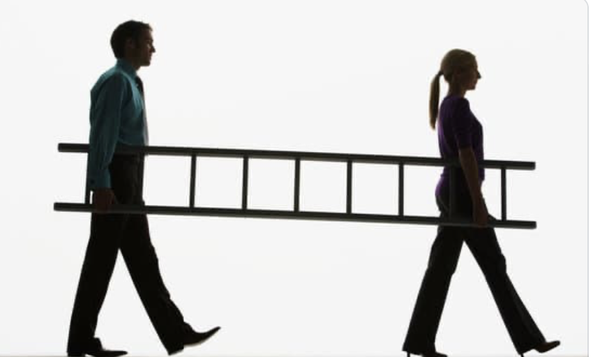 A man and a woman both carrying a ladder together