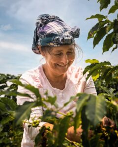 Fair trade has implications for global farmers.