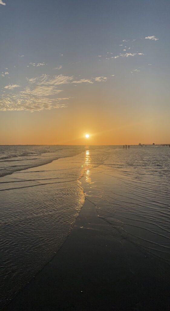 Sunset on the beach in Fort Myers, Florida. 2022. Endangered Sea Animal