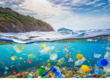 Ocean Water Full of Plastic Pollution