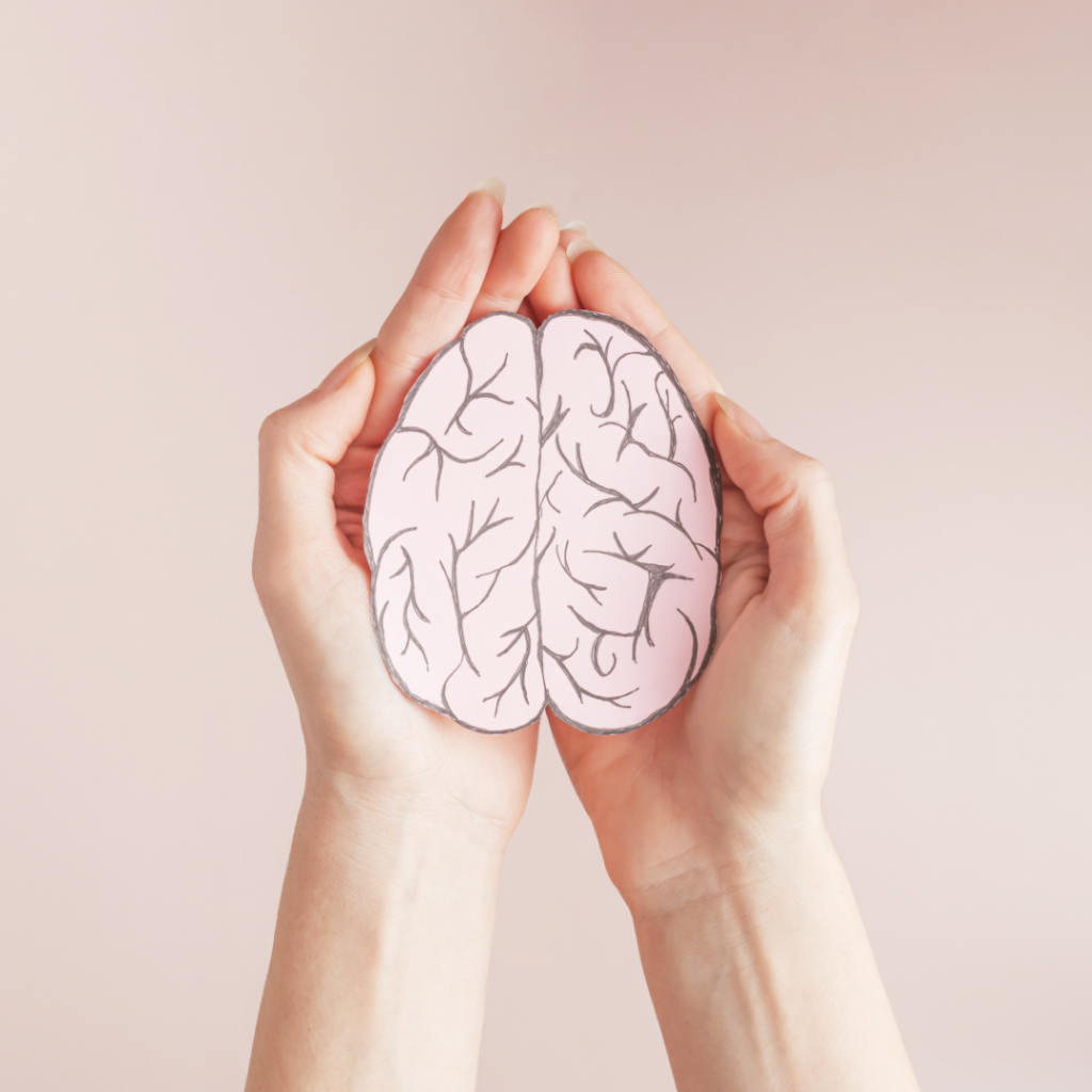 Drawing of brain