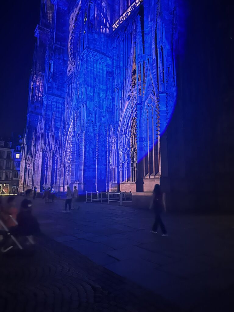 the cathedral in Strasbourg at night time