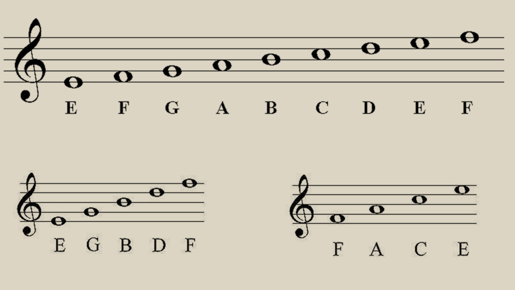 treble clef notes (lined and spaced)